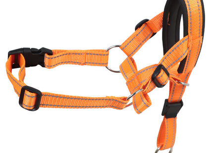 PawGuard - Sicherer und bequemer Schutz für Ihren Hund
